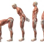 BACK STRENGTH LIST