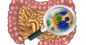 THE GUT HEALTH REBOOT