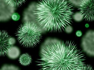 THE IMMUNE BOOSTER PROJECT